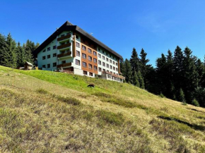 Cihlářka - Vysokohorský apartmán 208, Černý Důl